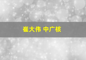 崔大伟 中广核